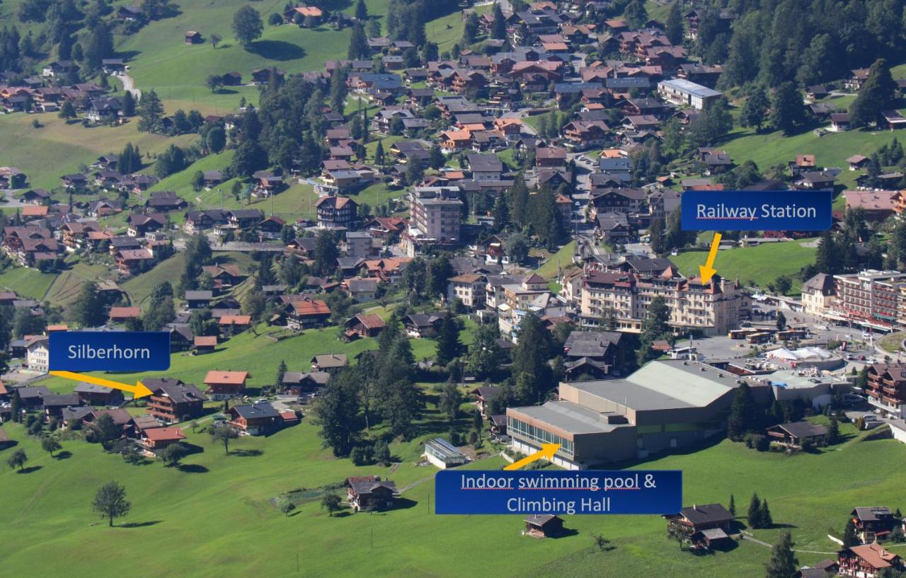 Silberhorn Apartment Grindelwald Exterior foto